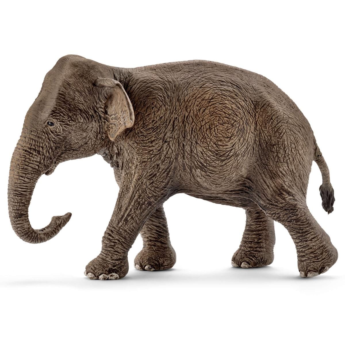 【L様・ご確認】アンリ人形15㎝【Talking to the Animals】 Asian elephant, female (bundle) 17001 WILD LIFE | schleich