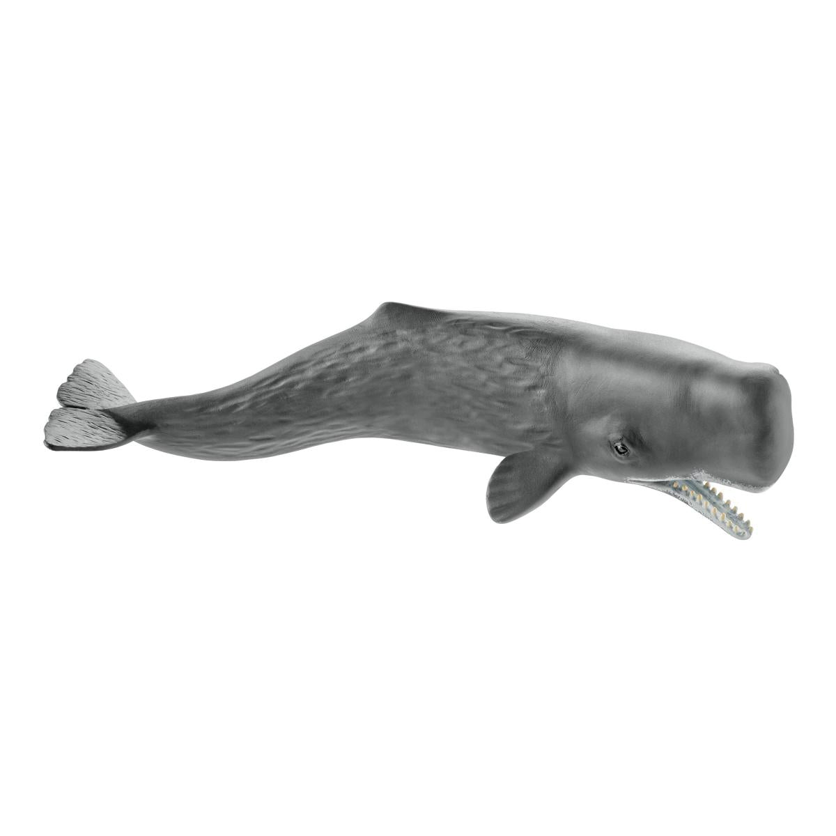 シュライヒ Schleich ザトウクジラ Humpback Whale シュライヒ Schleich ザトウクジラ Humpback Whale シュライヒ