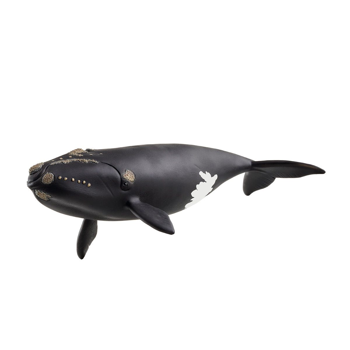 North Atlantic Right Whale 14878 WILD LIFE schleich