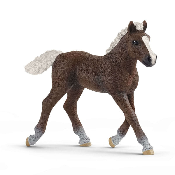 Black Forest Foal 13899 FARM WORLD | schleich