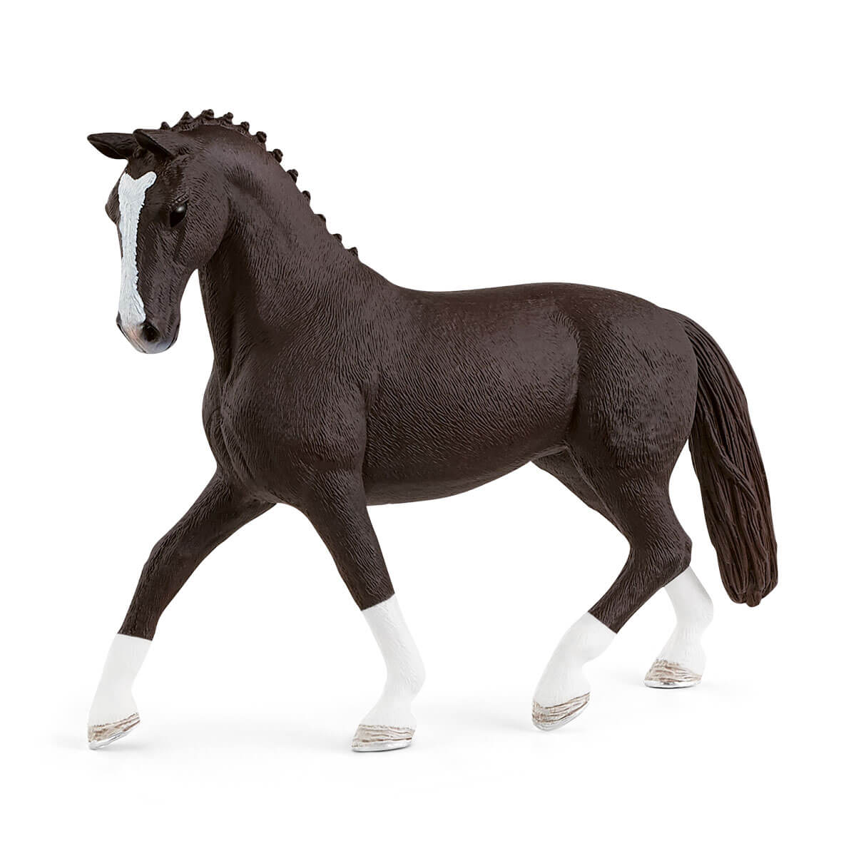 Hanoverian mare, black