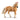 Haflinger Mare