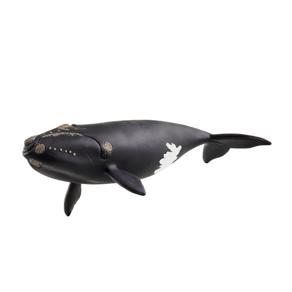 North Atlantic Right Whale 14878 WILD LIFE | schleich