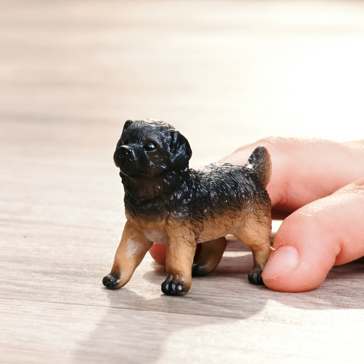 German Shepherd puppy