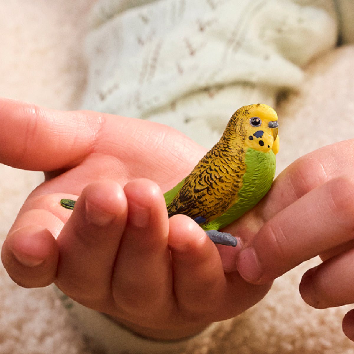 Budgie
