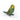 Budgie