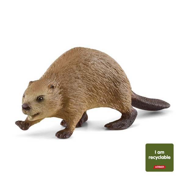 14955_main_grande.png?v=1745480923