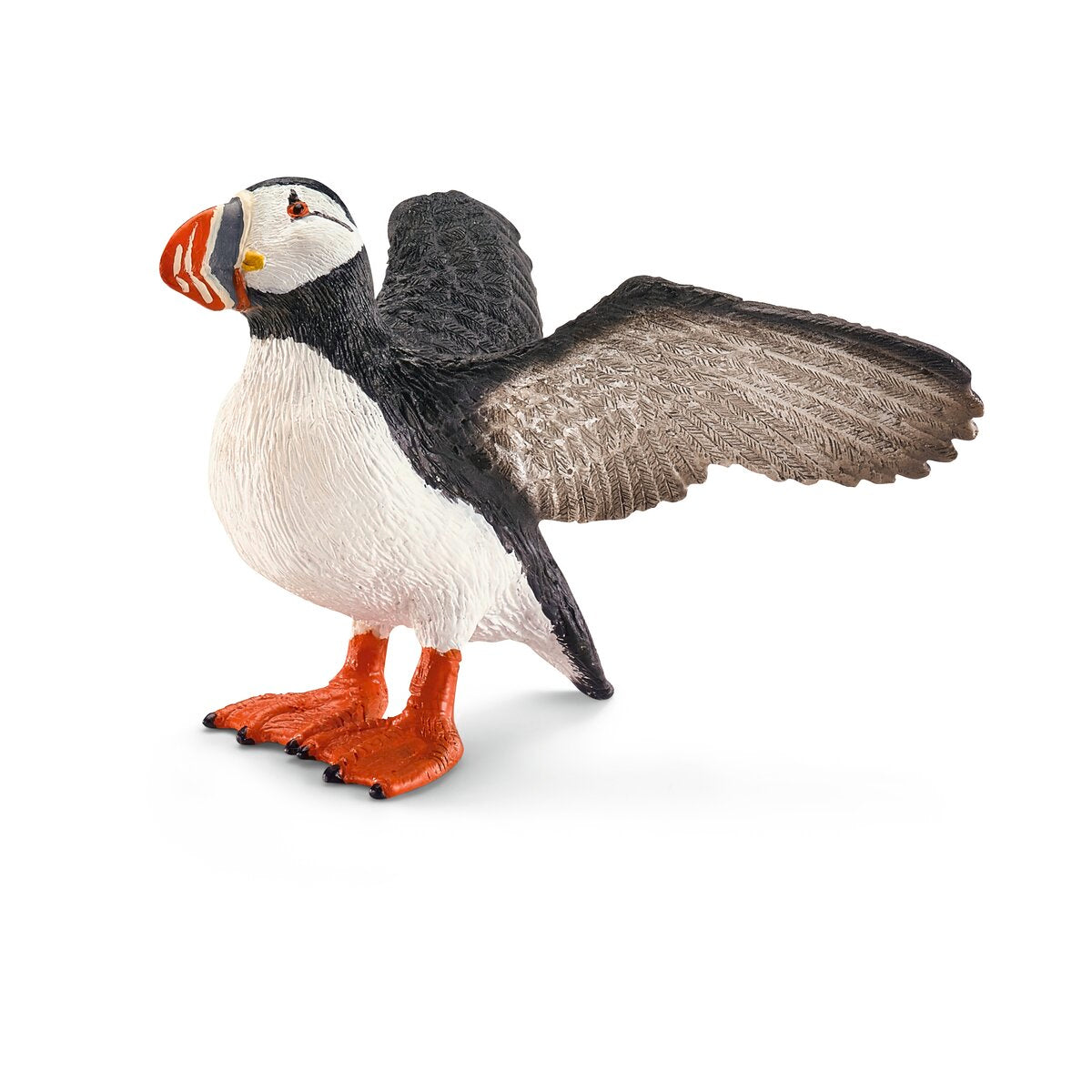 Puffin