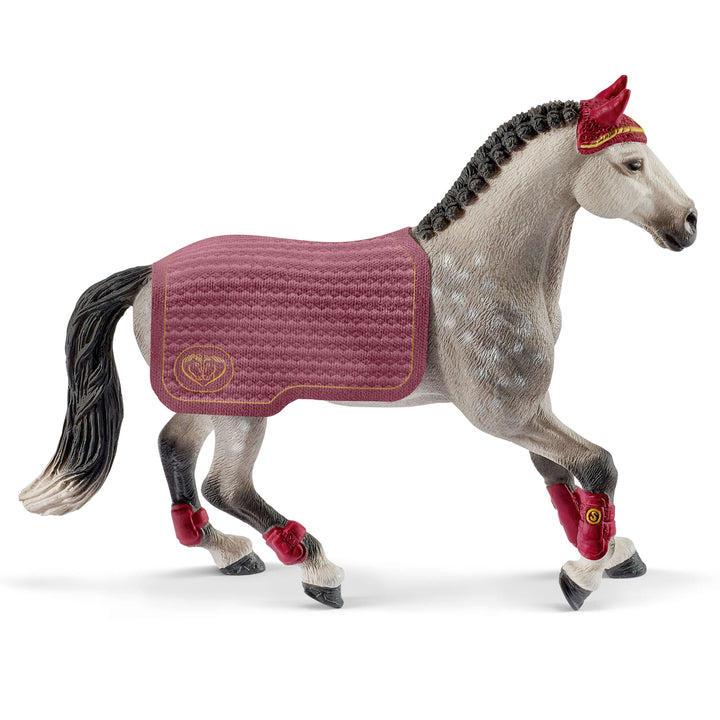 Trakehner mare riding tournament