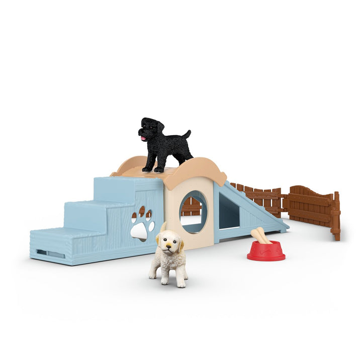 Adventure fun for little puppies