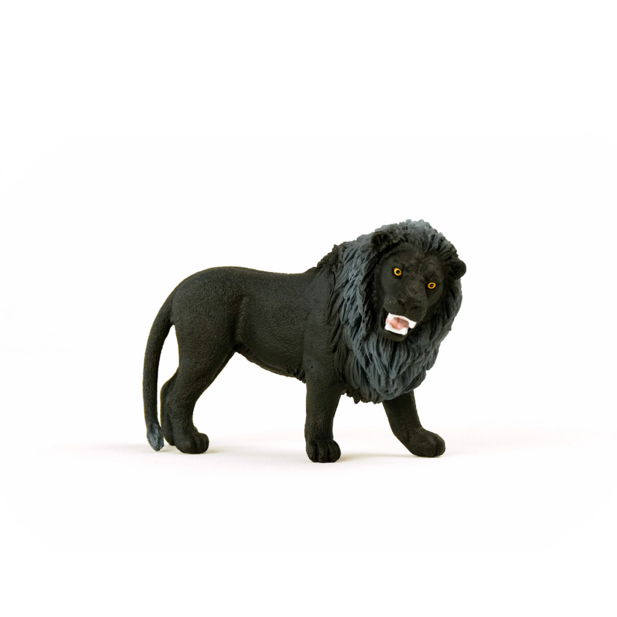 Black Lion, roaring