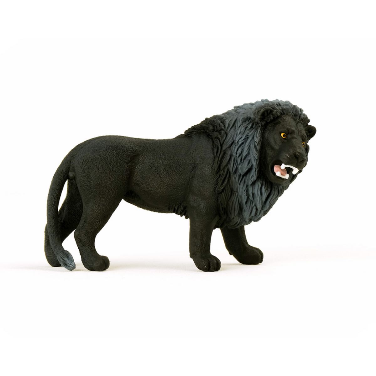Black Lion, roaring
