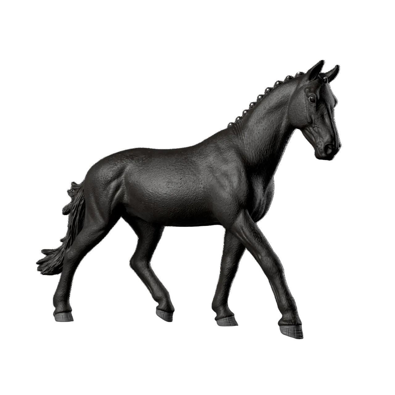 Sonata, Trakehner Mare 1:12