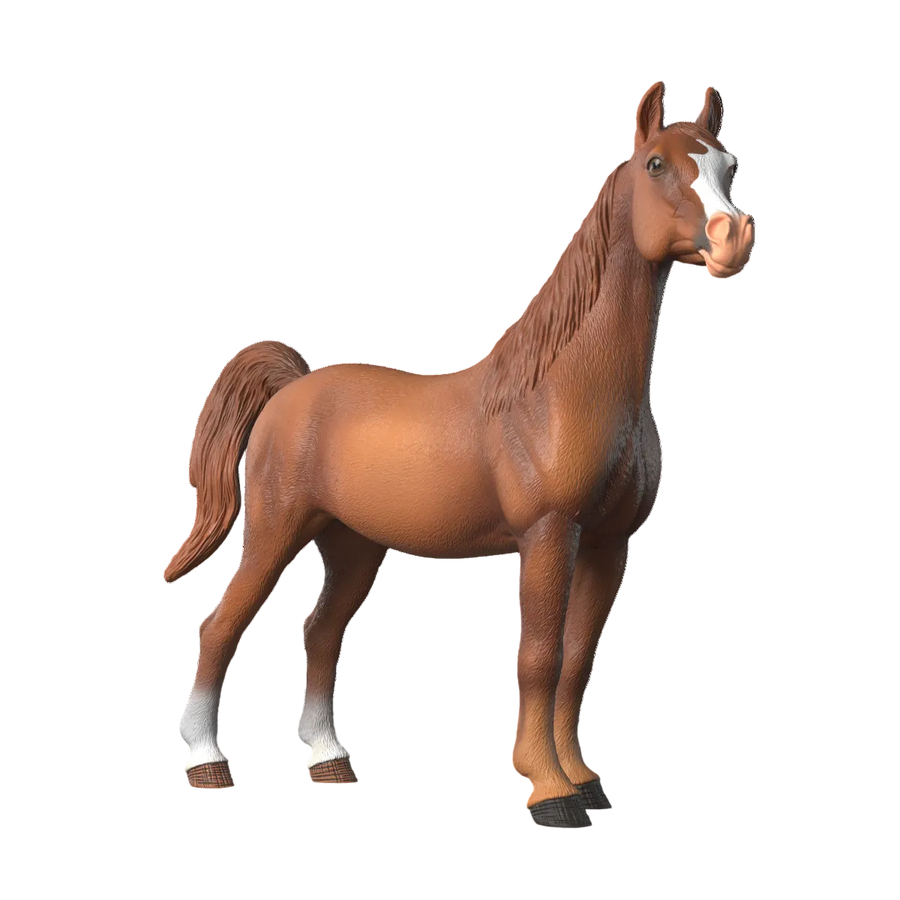 Amira, Arabian Mare 1:12