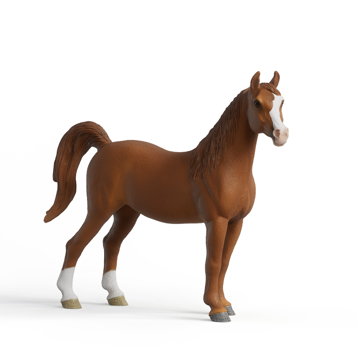Amira, Arabian Mare 1:12