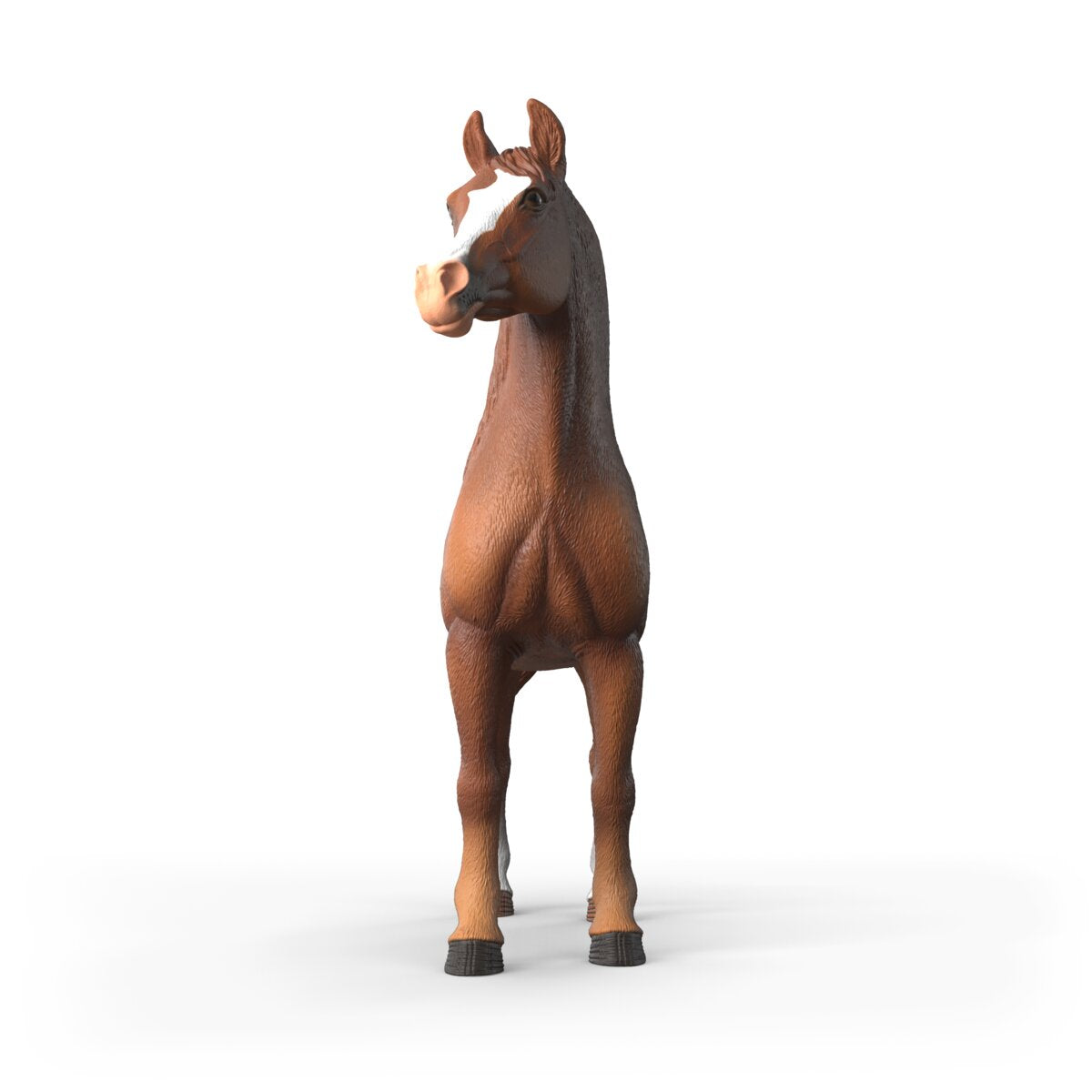 Amira, Arabian Mare 1:12