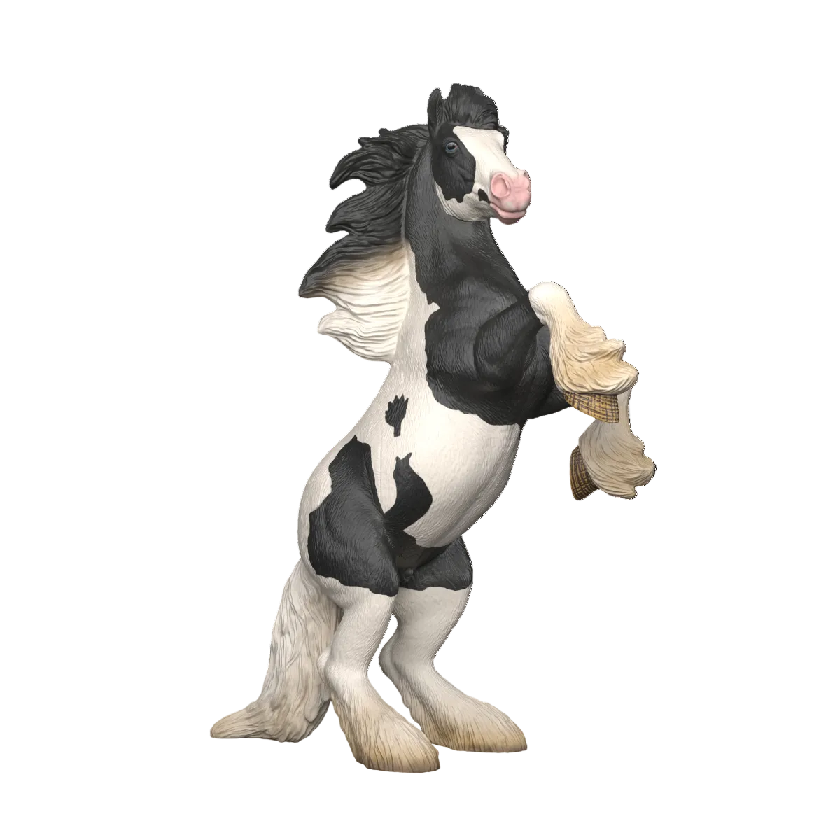 Thunder, Tinker Gelding 1:12