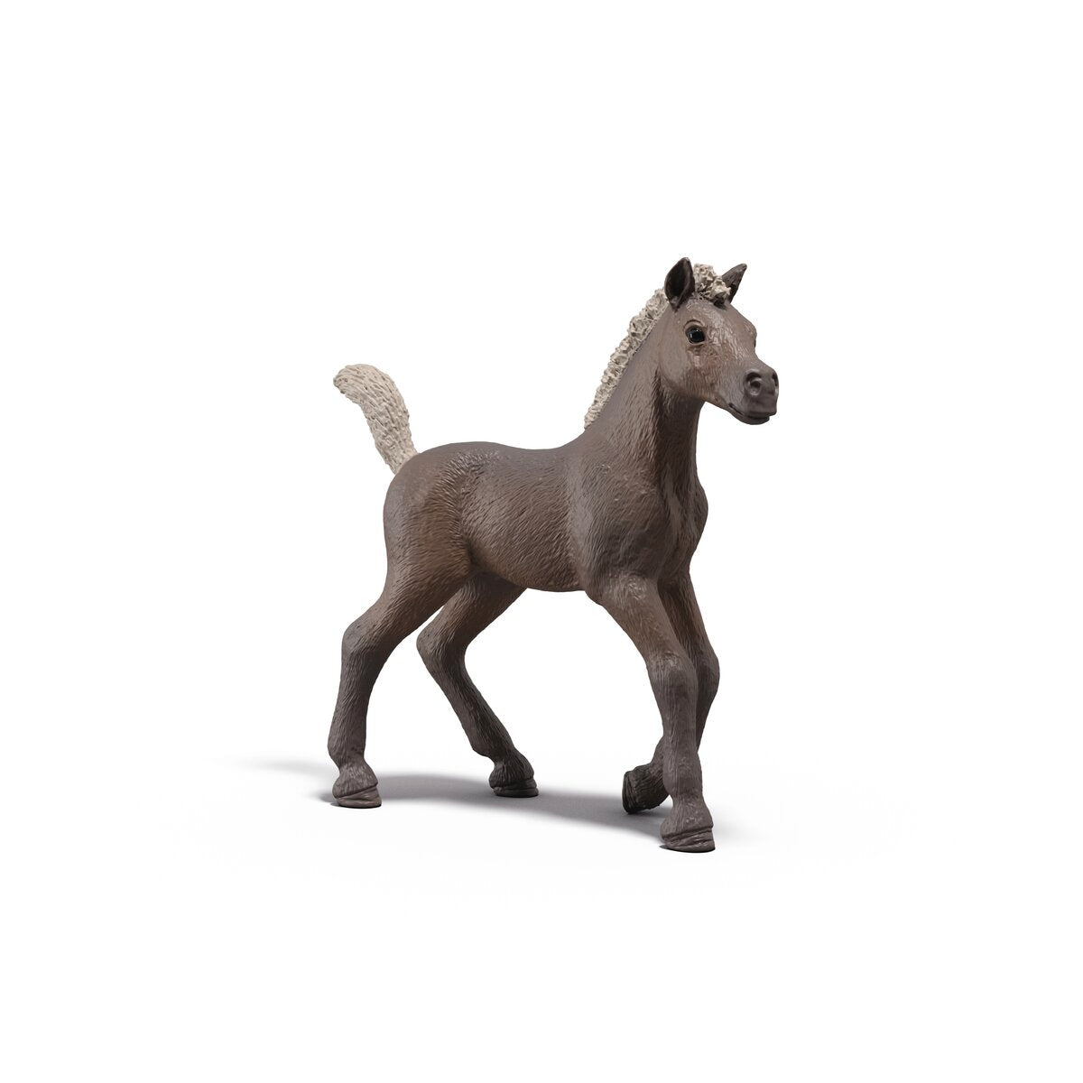 Collectible Foal Darcy