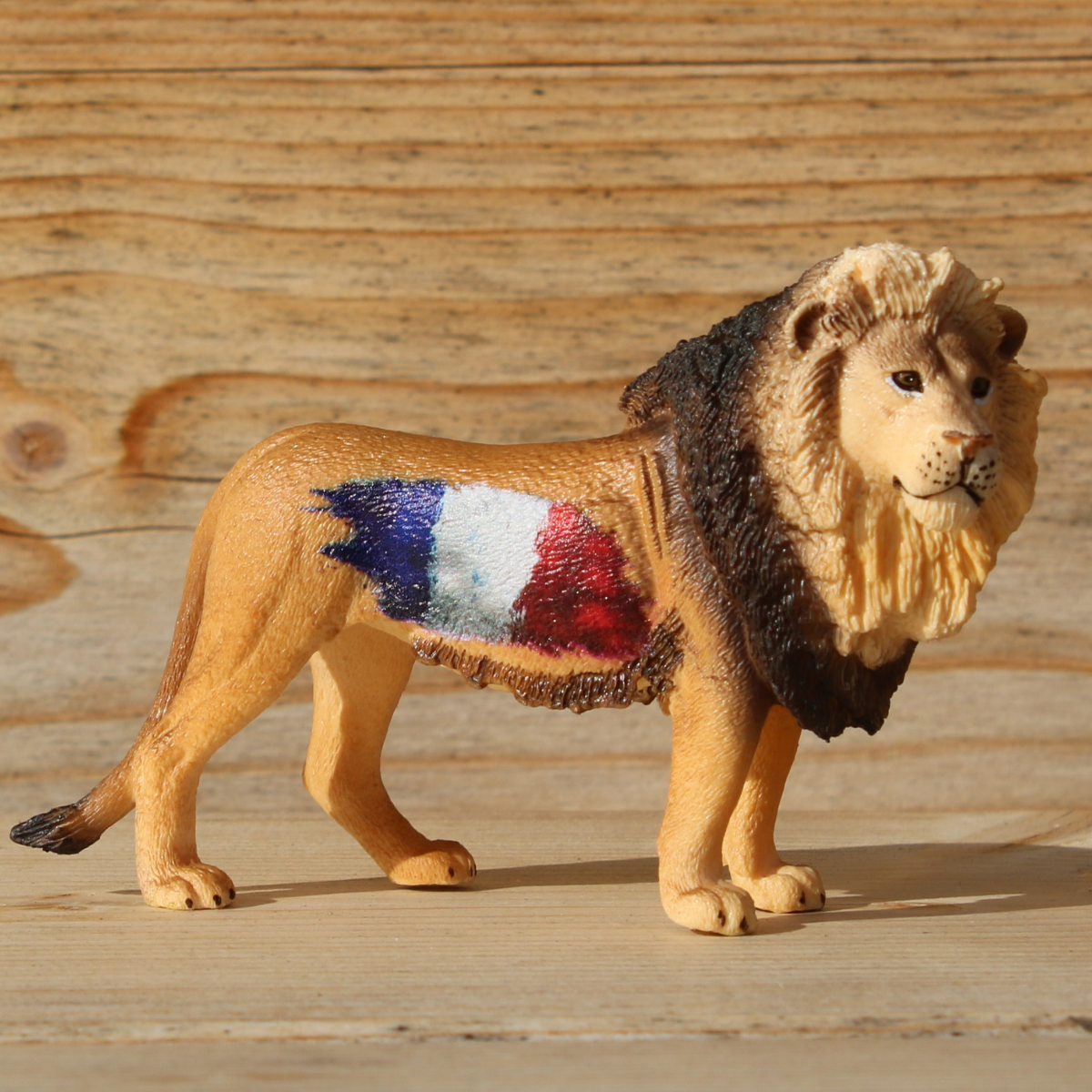 Lion France