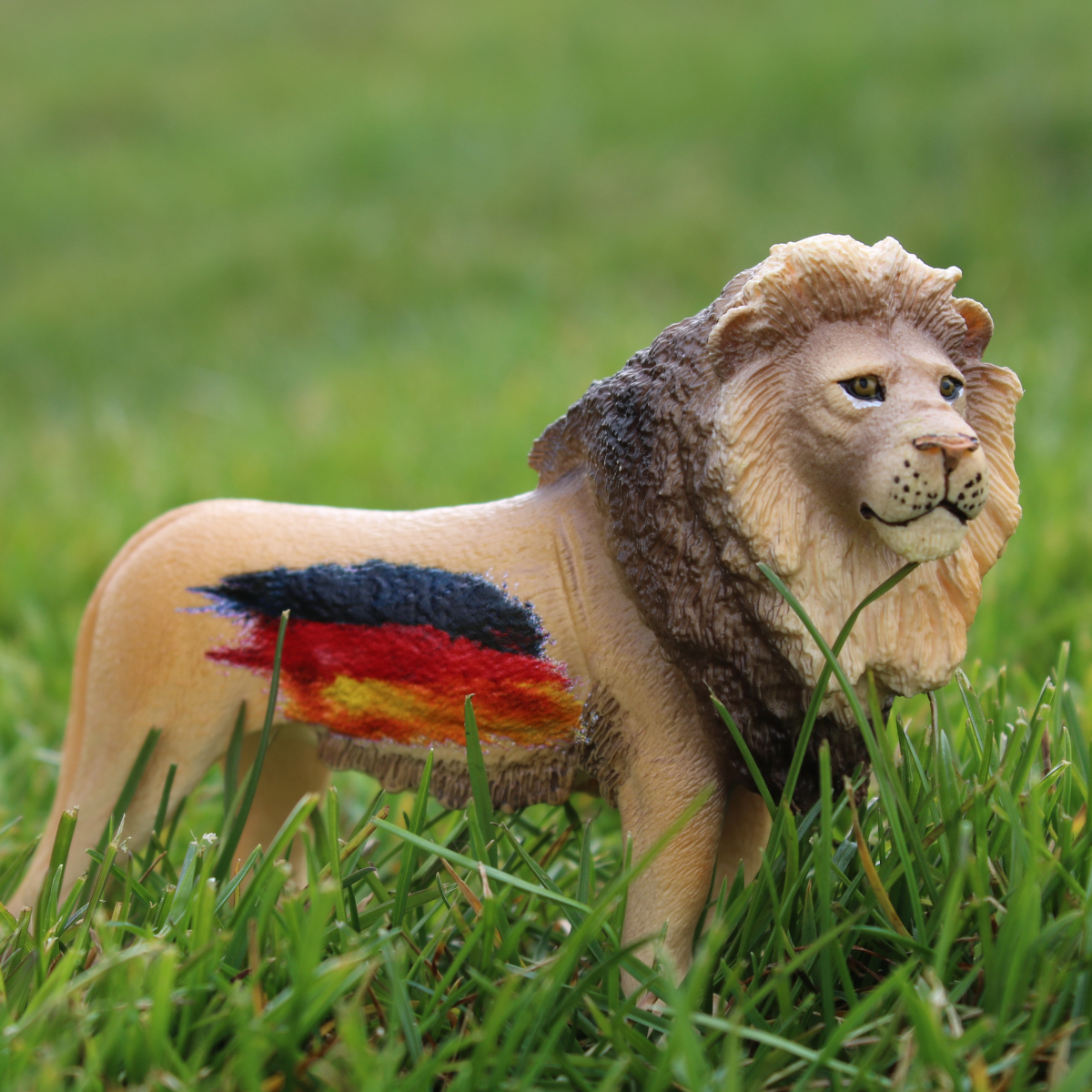Lion Germany