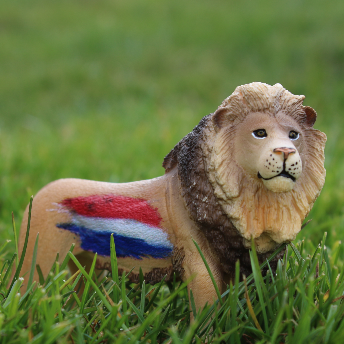 Lion Netherlands