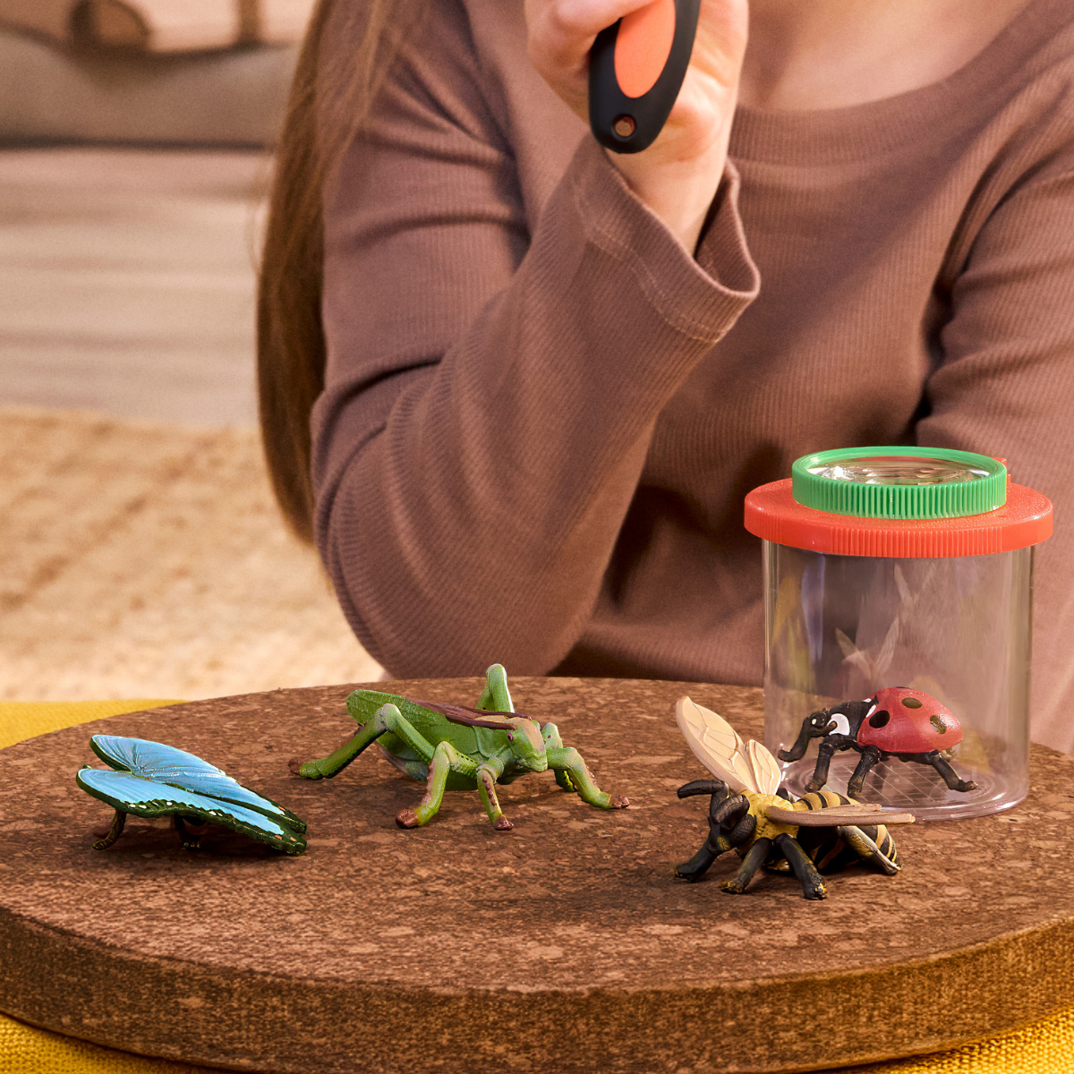 Insects discovery set