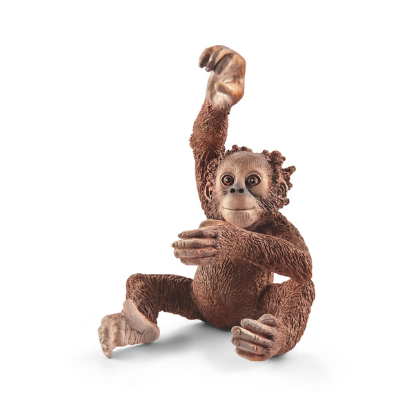 Young orangutan (bundle) 17102 WILD LIFE | schleich