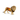 Lion Spain