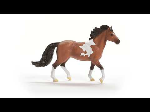 Schleich étalon Mangalarga Marchador Schleich 13978 Étalon Mangalarga Marchador – Horse Club, Neuf, Dès 5 Ans Schleich étalon Mangalarga Marchador Schleich 13978 Étalon Mangalarga Marchador – Horse Club, Neuf, Dès 5 Ans