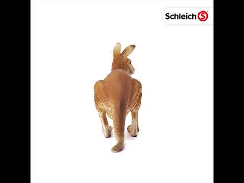Schleich Wild Life: Känguru & Riesenschildkröte - Realistische Spielfiguren Für Kinder Ab 3