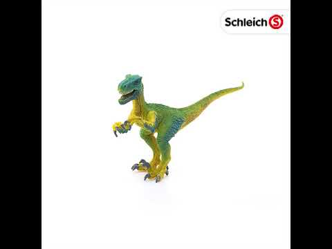 Is a Schleich Velociraptor without a belly stamp a manufacturing error Is a Schleich Velociraptor without a belly stamp a manufacturing error